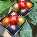 Bánh Xu Xê Ngũ Sắc